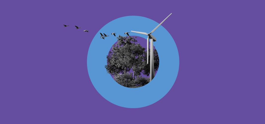 Stylised black and white image of birds taking flight from trees with a wind turbine to the side.