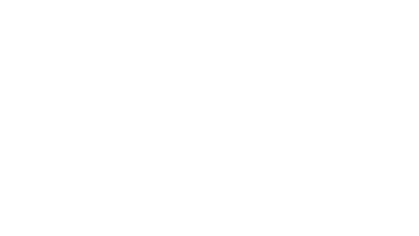 nylas logo