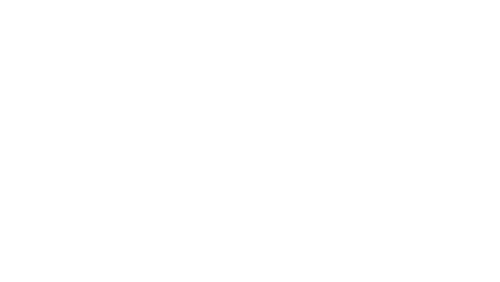 patagonia logo